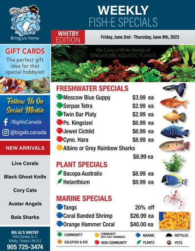 Big Al's (Whitby) Weekly Specials June 2 to 8
