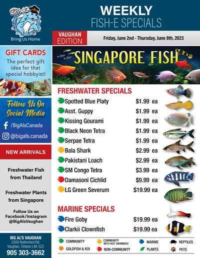 Big Al's (Vaughan) Weekly Specials June 2 to 8 
