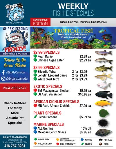 Big Al's (Scarborough) Weekly Specials June 2 to 8