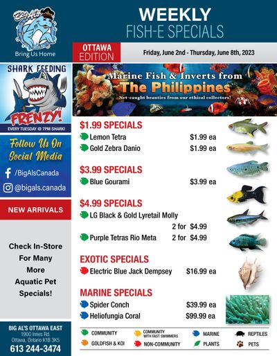 Big Al's (Ottawa East) Weekly Specials June 2 to 8