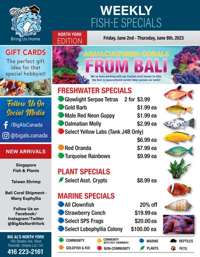 Big Al's (North York) Weekly Specials June 2 to 8