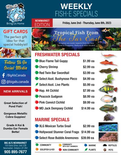 Big Al's (Newmarket) Weekly Specials June 2 to 8