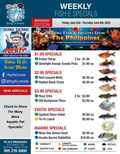 Big Al's (Mississauga) Weekly Specials June 2 to 8