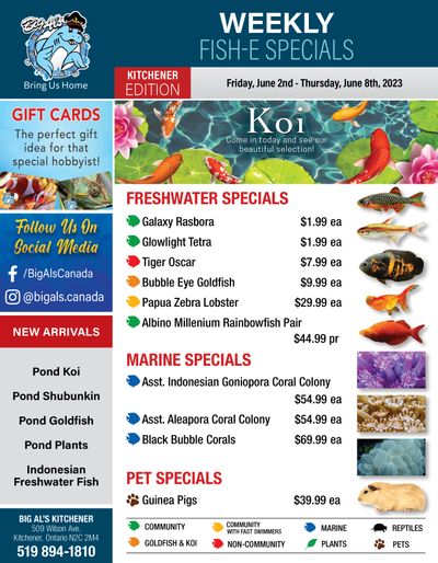 Big Al's (Kitchener) Weekly Specials June 2 to 8