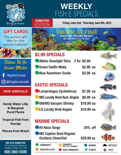 Big Al's (Hamilton) Weekly Specials June 2 to 8 Big Al's (Hamilton) Weekly Specials June 2 to 8