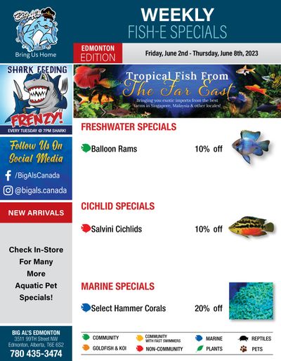 Big Al's (Edmonton) Weekly Specials June 2 to 8