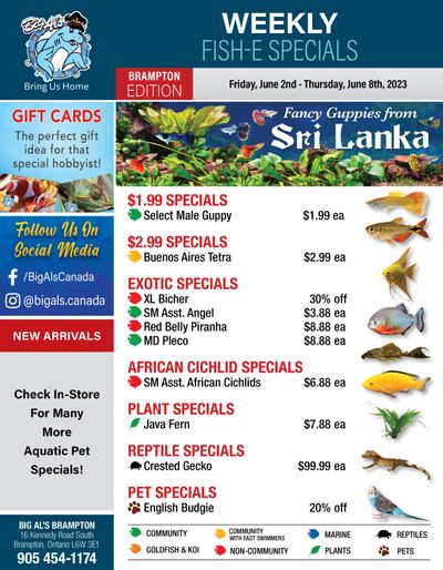 Big Al's (Brampton) Weekly Specials June 2 to 8