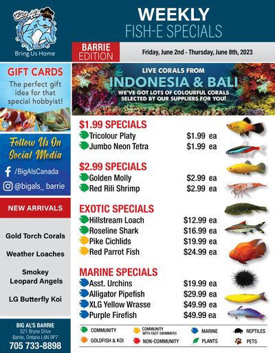 Big Al's (Barrie) Weekly Specials June 2 to 8