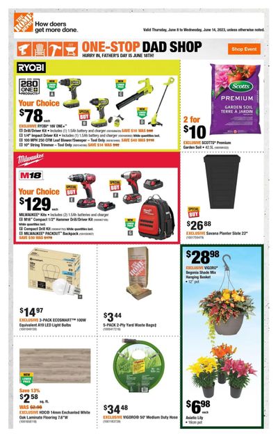 Home Depot (BC) Flyer June 8 to 14