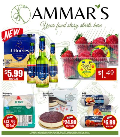 Ammar's Halal Meats Flyer June 8 to 14