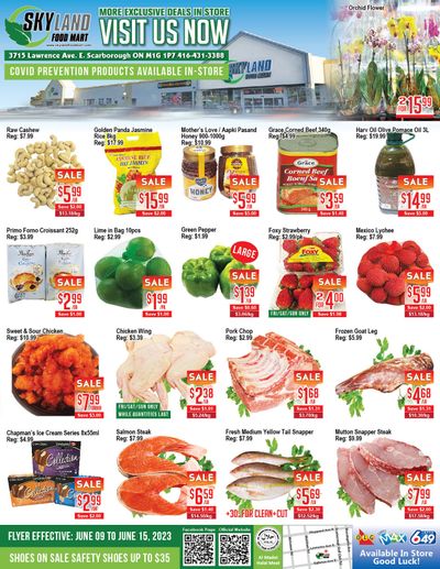 Skyland Food Mart Flyer June 9 to 15