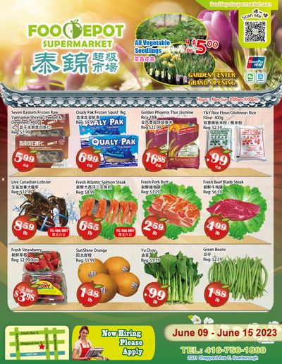 Food Depot Supermarket Flyer June 9 to 15