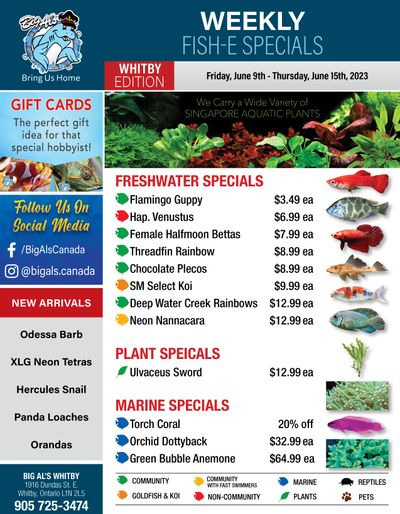 Big Al's (Whitby) Weekly Specials June 9 to 15