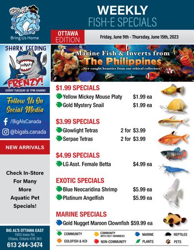 Big Al's (Ottawa East) Weekly Specials June 9 to 15