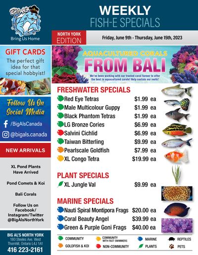 Big Al's (North York) Weekly Specials June 9 to 15