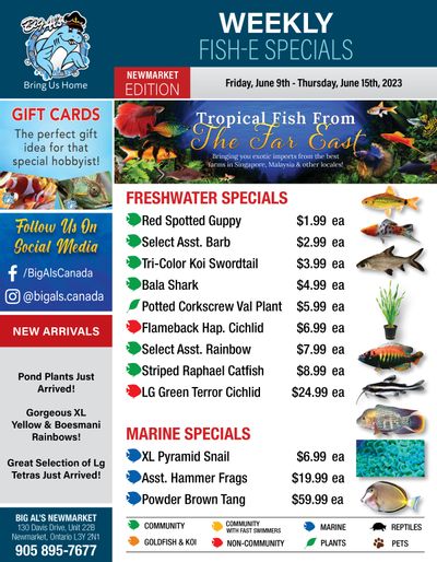 Big Al's (Newmarket) Weekly Specials June 9 to 15