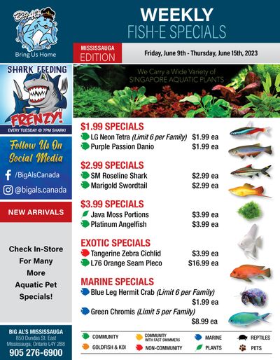 Big Al's (Mississauga) Weekly Specials June 9 to 15