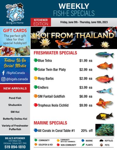 Big Al's (Kitchener) Weekly Specials June 9 to 15