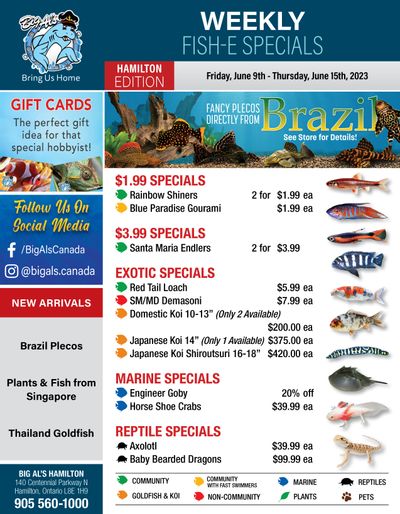 Big Al's (Hamilton) Weekly Specials June 9 to 15