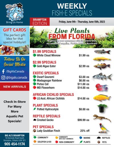 Big Al's (Brampton) Weekly Specials June 9 to 15 Big Al's (Brampton) Weekly Specials June 9 to 15