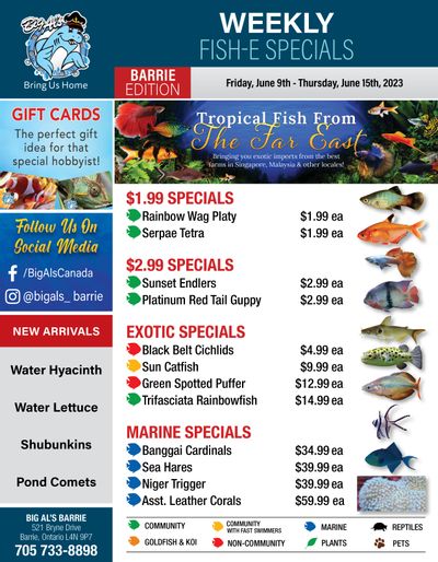 Big Al's (Barrie) Weekly Specials June 9 to 15