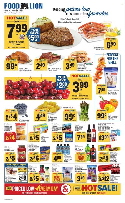 Food Lion (SC) Weekly Ad Flyer Specials June 14 to June 20, 2023