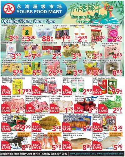 Yours Food Mart Flyer June 16 to 22