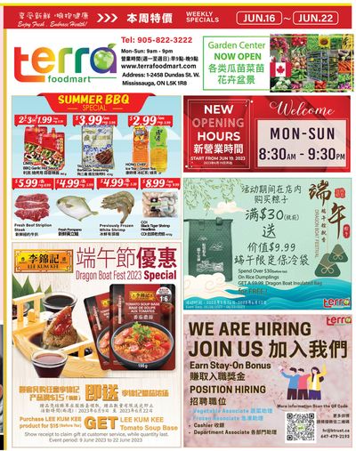 Terra Foodmart Flyer June 16 to 22
