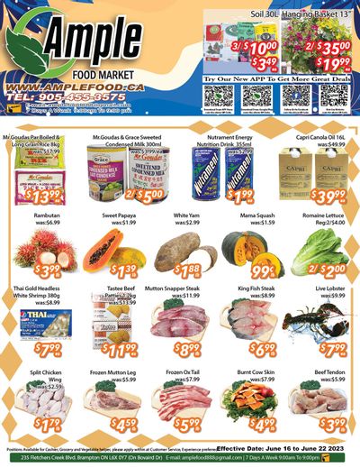 Ample Food Market (Brampton) Flyer June 16 to 22