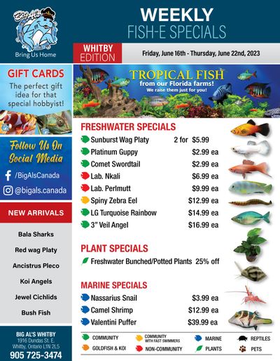 Big Al's (Whitby) Weekly Specials June 16 to 22
