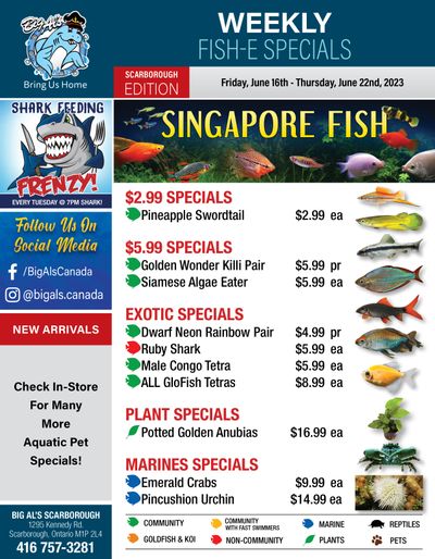 Big Al's (Scarborough) Weekly Specials June 16 to 22
