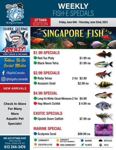 Big Al's (Ottawa East) Weekly Specials June 16 to 22