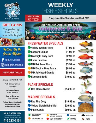 Big Al's (North York) Weekly Specials June 16 to 22