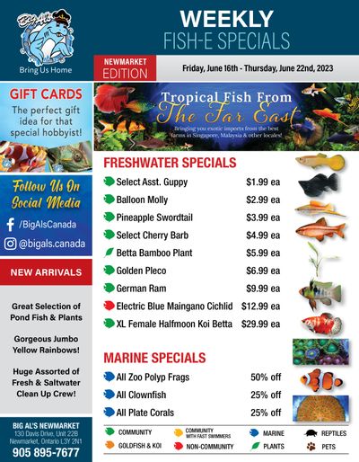 Big Al's (Newmarket) Weekly Specials June 16 to 22