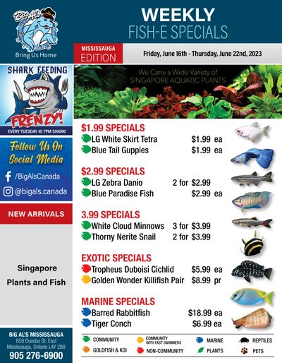 Big Al's (Mississauga) Weekly Specials June 16 to 22