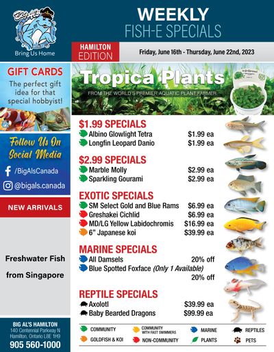 Big Al's (Hamilton) Weekly Specials June 16 to 22