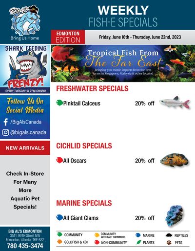 Big Al's (Edmonton) Weekly Specials June 16 to 22