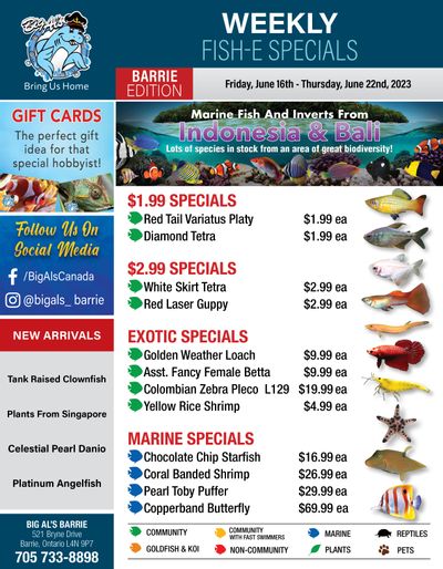 Big Al's (Barrie) Weekly Specials June 16 to 22 Big Al's (Barrie) Weekly Specials June 16 to 22