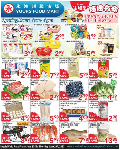 Yours Food Mart Flyer June 23 to 29