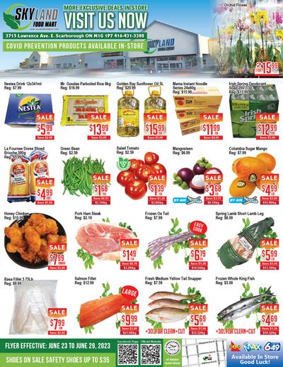 Skyland Food Mart Flyer June 23 to 29