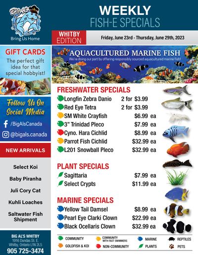Big Al's (Whitby) Weekly Specials June 23 to 29