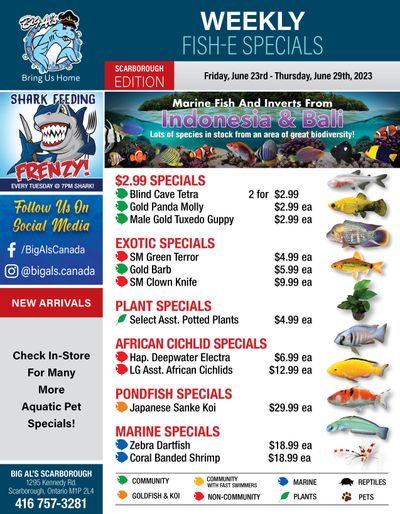 Big Al's (Scarborough) Weekly Specials June 23 to 29