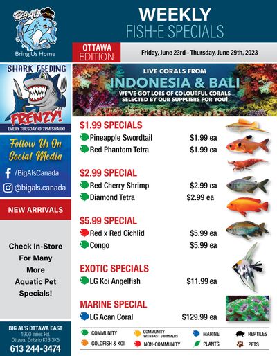Big Al's (Ottawa East) Weekly Specials June 23 to 29
