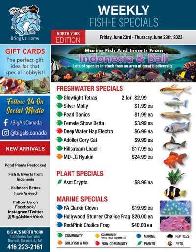 Big Al's (North York) Weekly Specials June 23 to 29