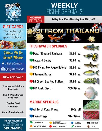 Big Al's (Kitchener) Weekly Specials June 23 to 29
