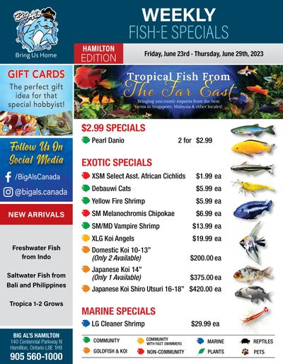 Big Al's (Hamilton) Weekly Specials June 23 to 29