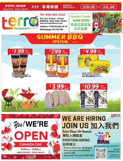 Terra Foodmart Flyer June 30 to July 6