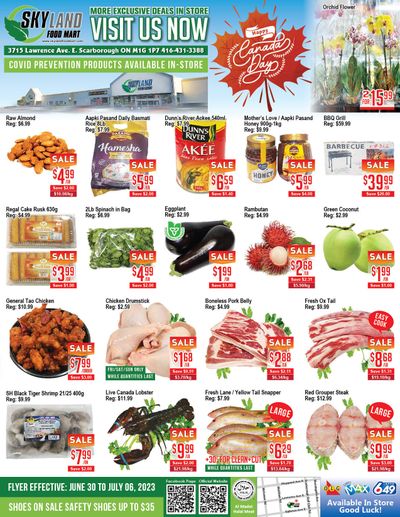 Skyland Food Mart Flyer June 30 to July 6