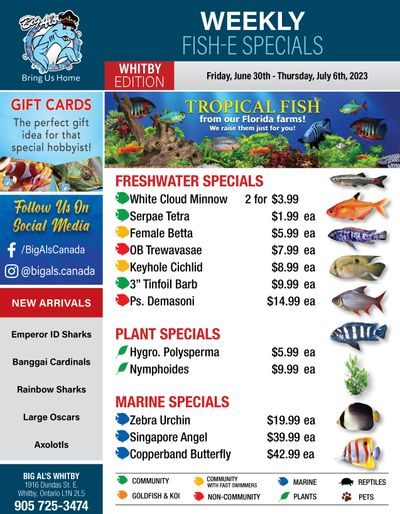 Big Al's (Whitby) Weekly Specials June 30 to July 6