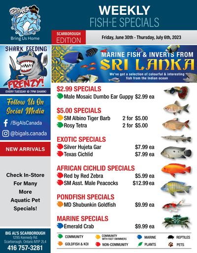 Big Al's (Scarborough) Weekly Specials June 30 to July 6